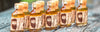 WILDAUSTRIA Kräuter-Edellikör 15Stk. Box á 20ml.