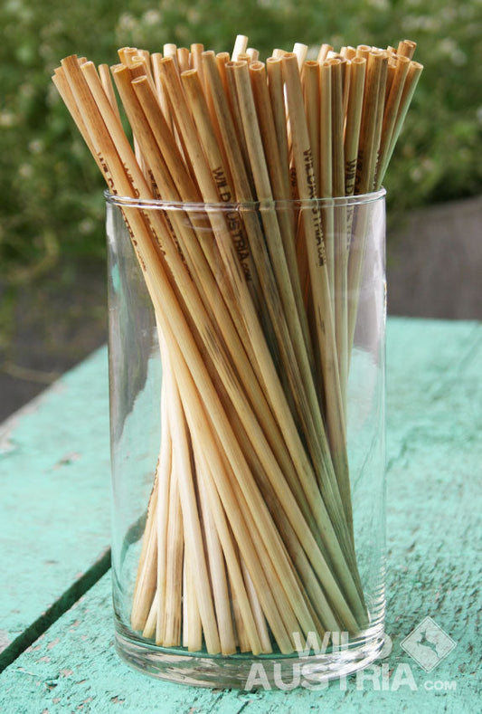 Bio Strohhalme, 15cm, 500 Stk.